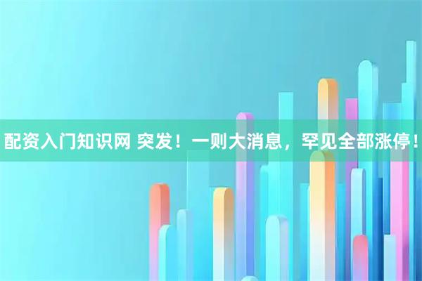 配资入门知识网 突发！一则大消息，罕见全部涨停！