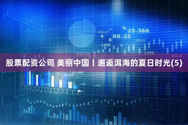 股票配资公司 美丽中国丨邂逅洱海的夏日时光(5)